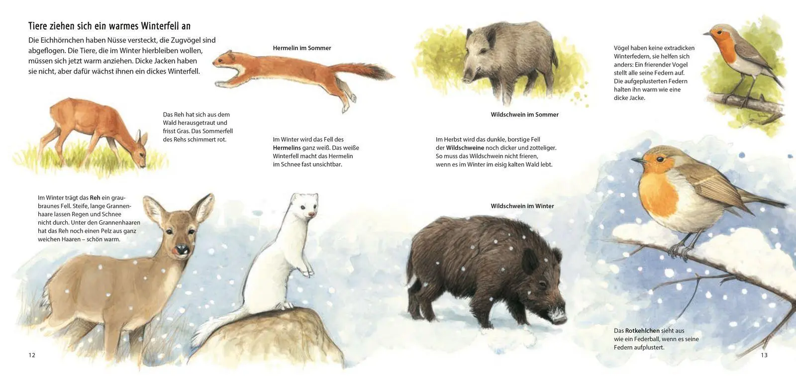 Bild: 9783737364782 | Bald wird es kalt! | Wie Tiere im Winter leben | Steffen Walentowitz