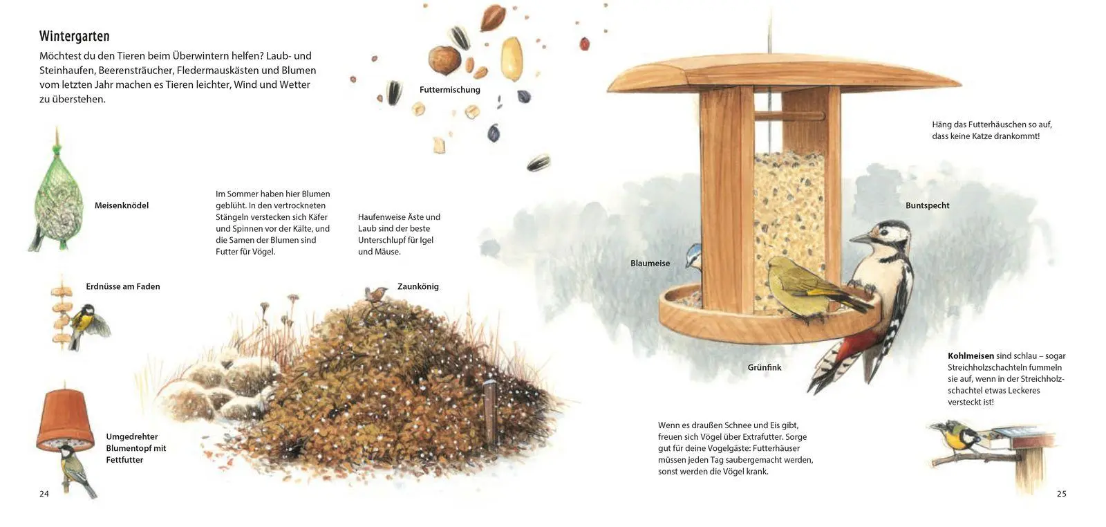 Bild: 9783737364782 | Bald wird es kalt! | Wie Tiere im Winter leben | Steffen Walentowitz