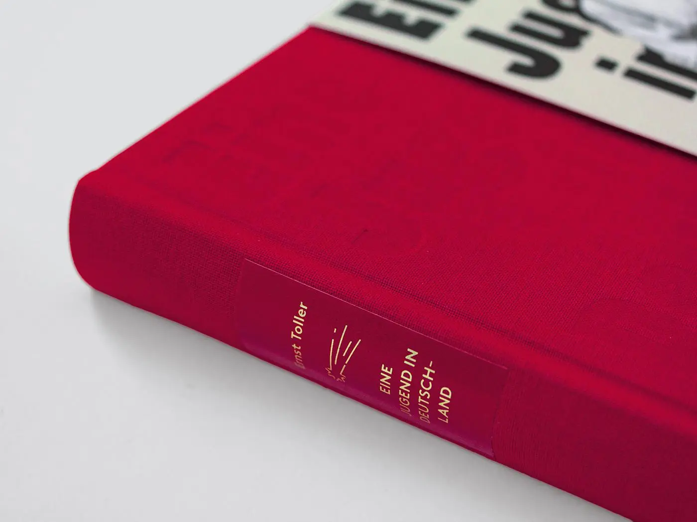 Bild: 9783847704782 | Eine Jugend in Deutschland | Ernst Toller | Buch | 348 S. | Deutsch