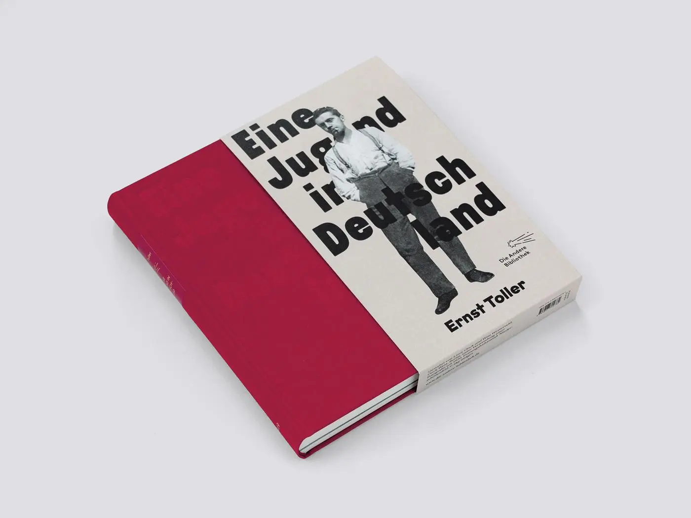 Bild: 9783847704782 | Eine Jugend in Deutschland | Ernst Toller | Buch | 348 S. | Deutsch