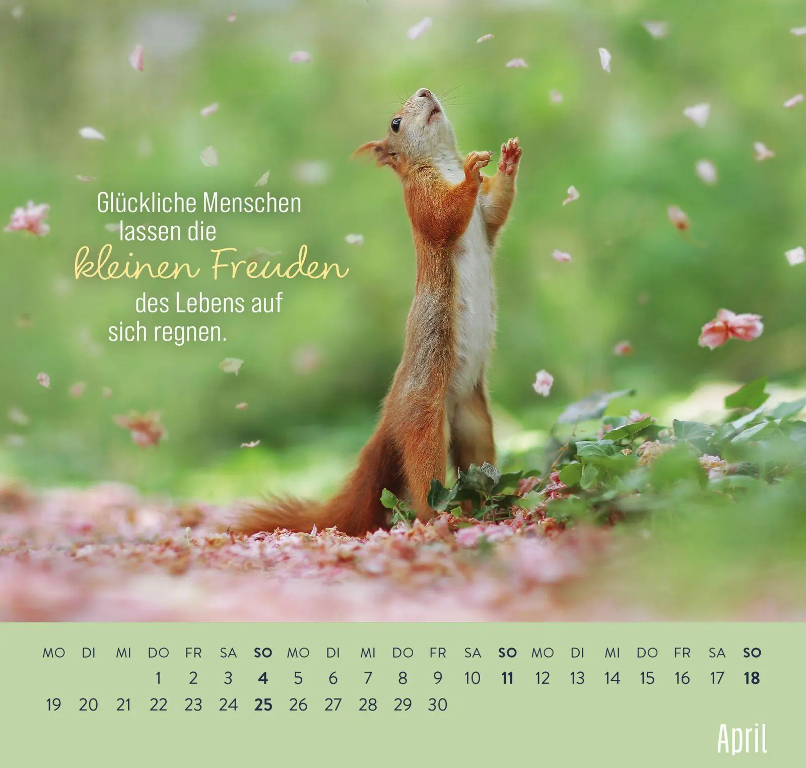 Bild: 4036442014882 | Wandkalender 2027: Kleine Glücksbringer für dein Jahr | Julian Rad