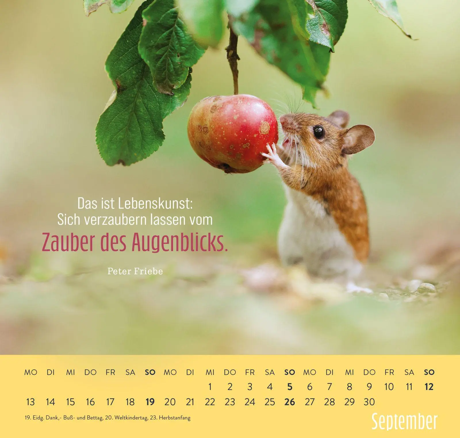Bild: 4036442014882 | Wandkalender 2027: Kleine Glücksbringer für dein Jahr | Julian Rad