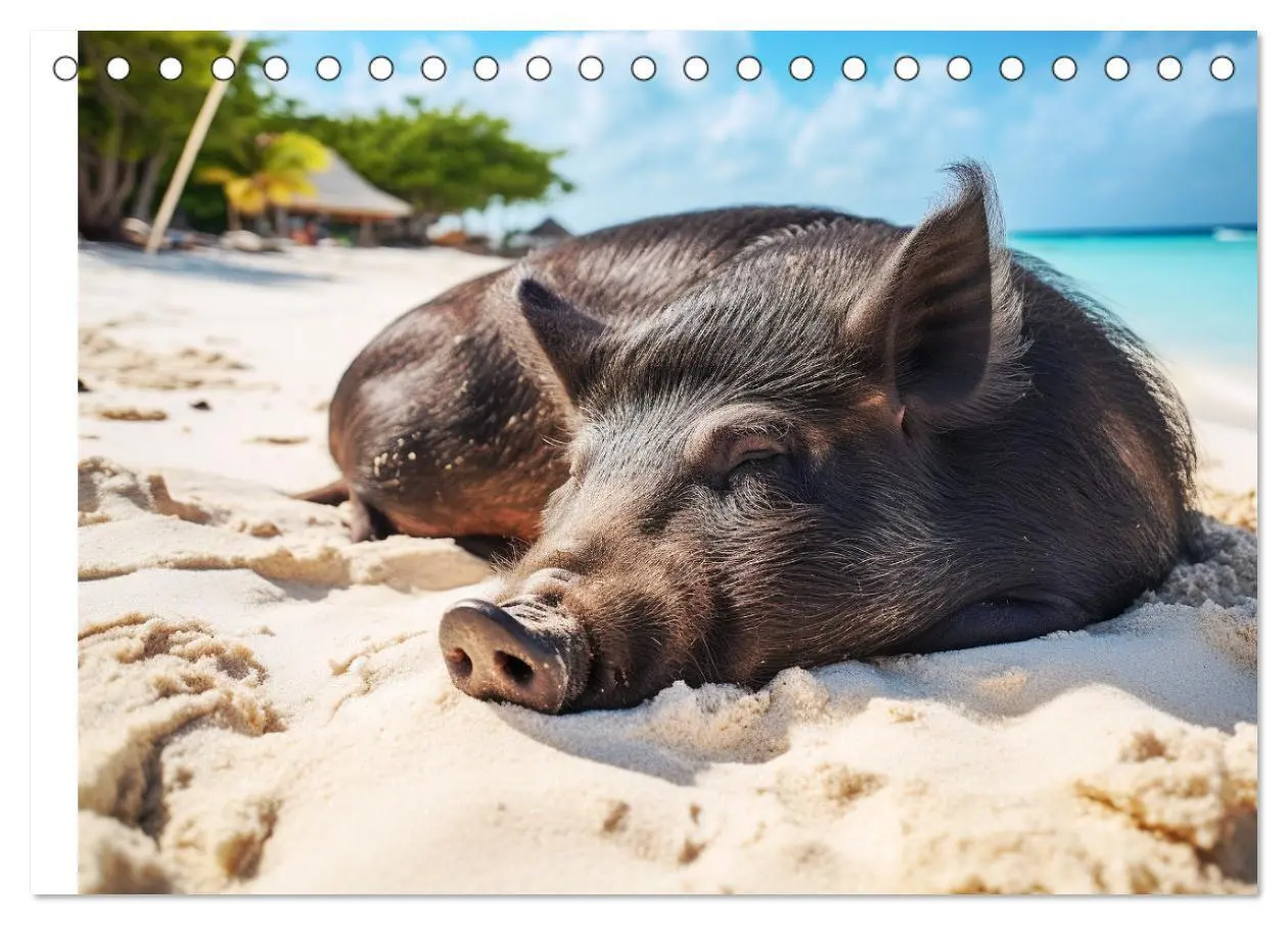 Bild: 9783383834882 | Schweinereien in der Karibik. Sonne und Spaß mit schwimmenden...