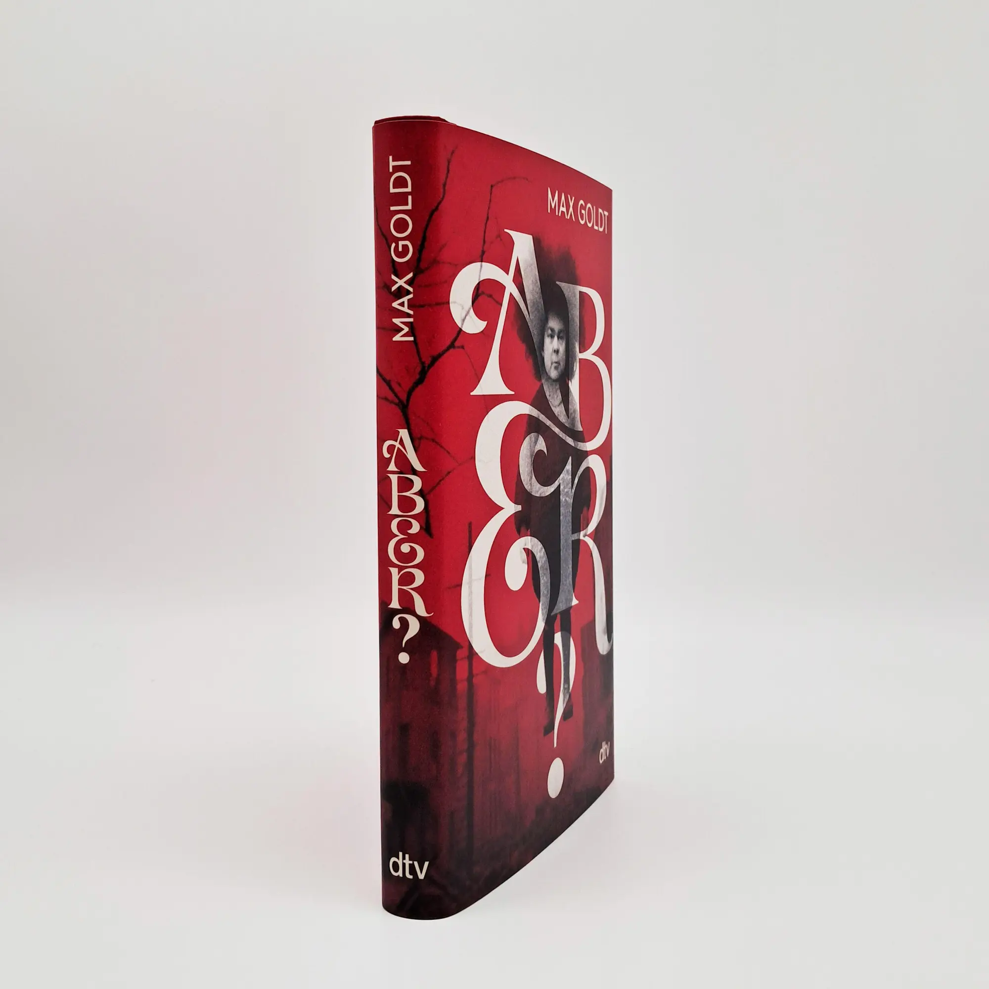 Bild: 9783423284882 | Aber? | Max Goldt | Buch | 160 S. | Deutsch | 2025 | EAN 9783423284882