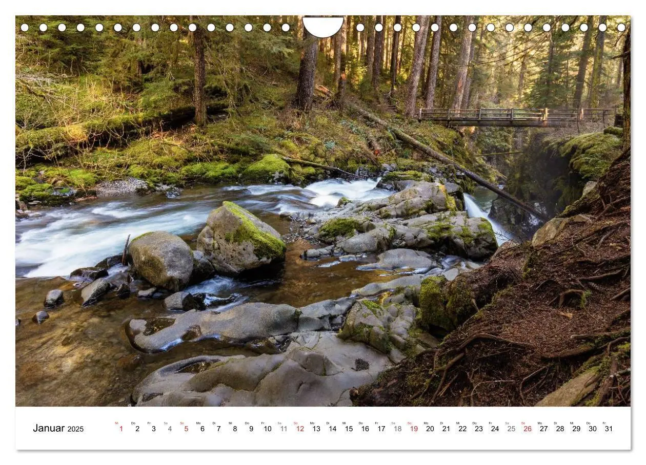 Bild: 9783435614882 | The Olympic National Park - Washington USA (Wandkalender 2025 DIN...