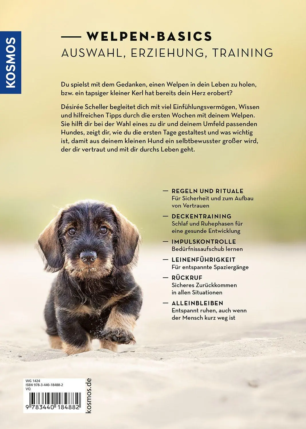 Bild: 9783440184882 | Welpen erziehen mit Erfolg | Désirée Scheller | Taschenbuch | 168 S.
