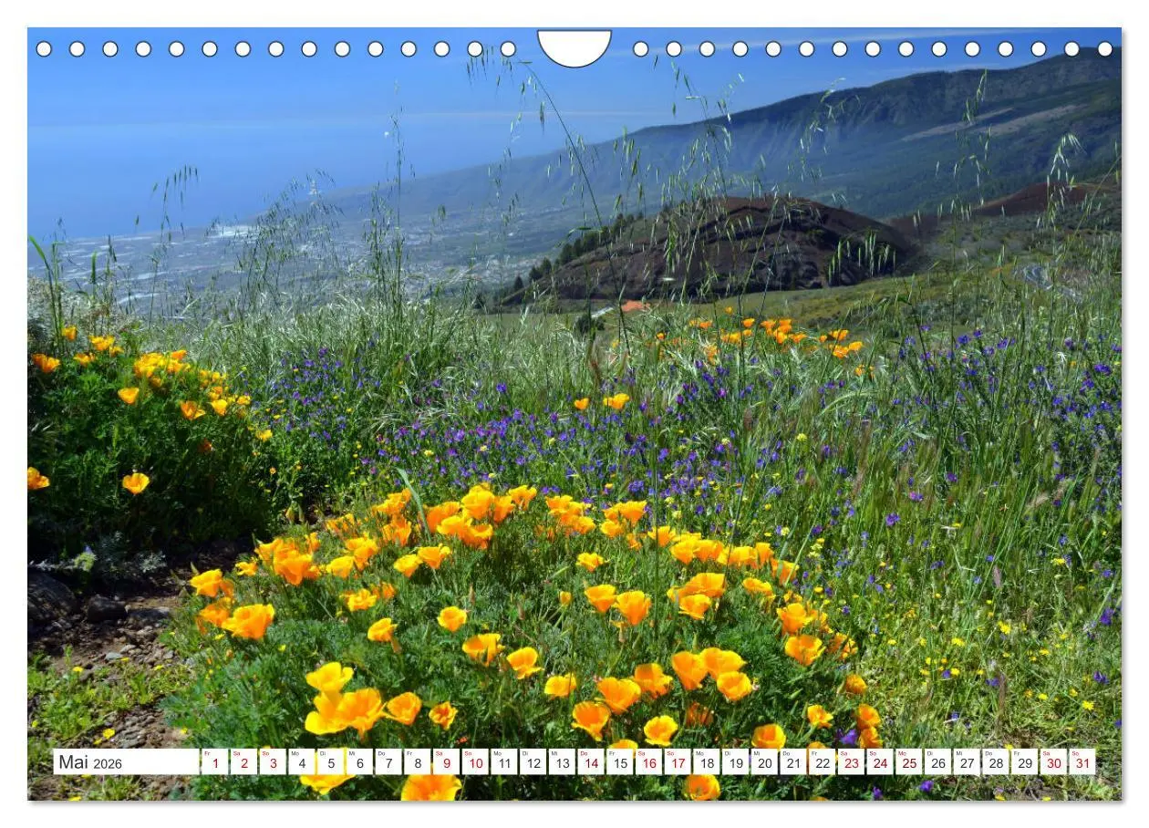 Bild: 9783457324882 | Teneriffa - Insel der Glückseligen (Wandkalender 2026 DIN A4 quer),...