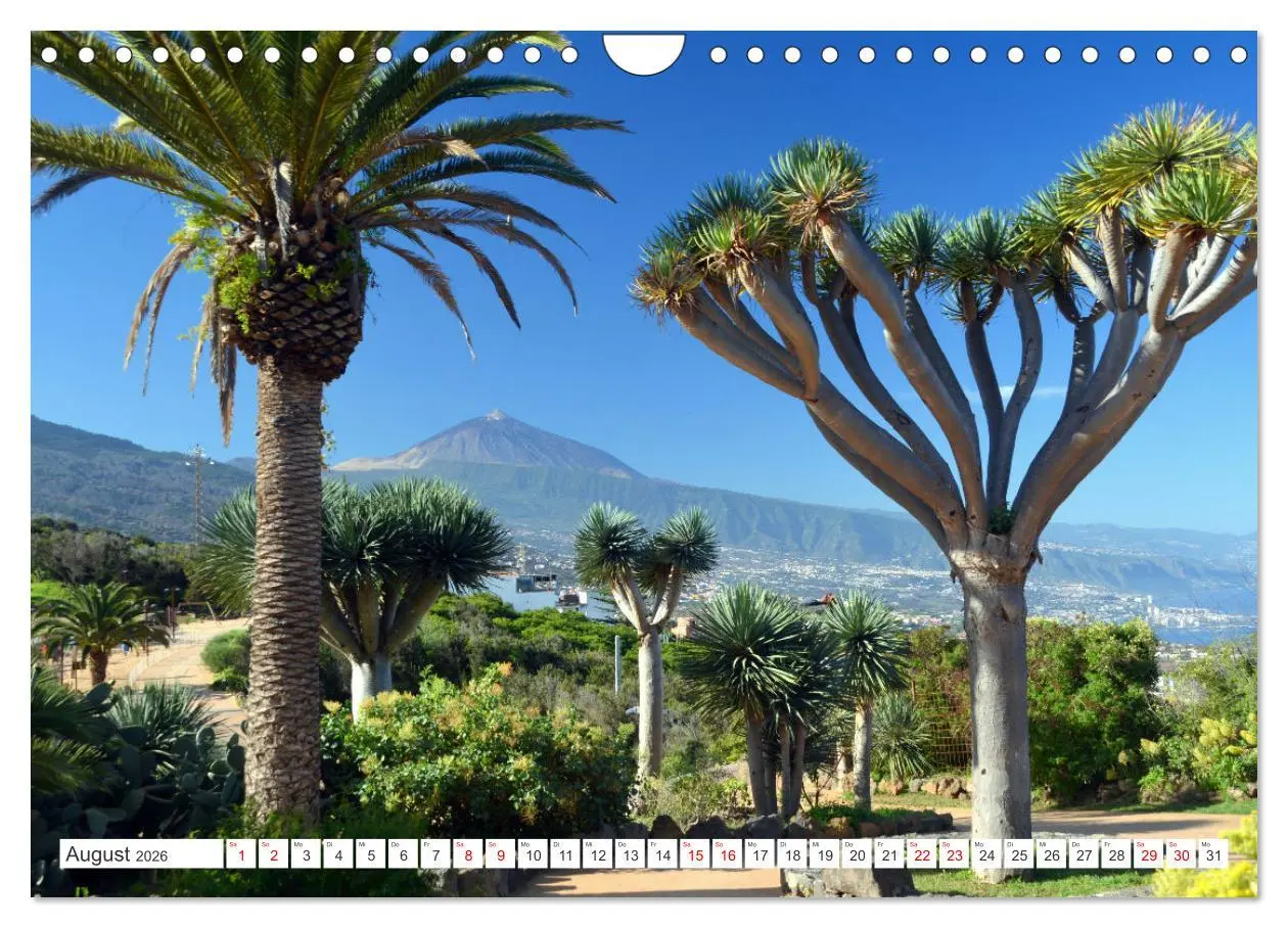Bild: 9783457324882 | Teneriffa - Insel der Glückseligen (Wandkalender 2026 DIN A4 quer),...