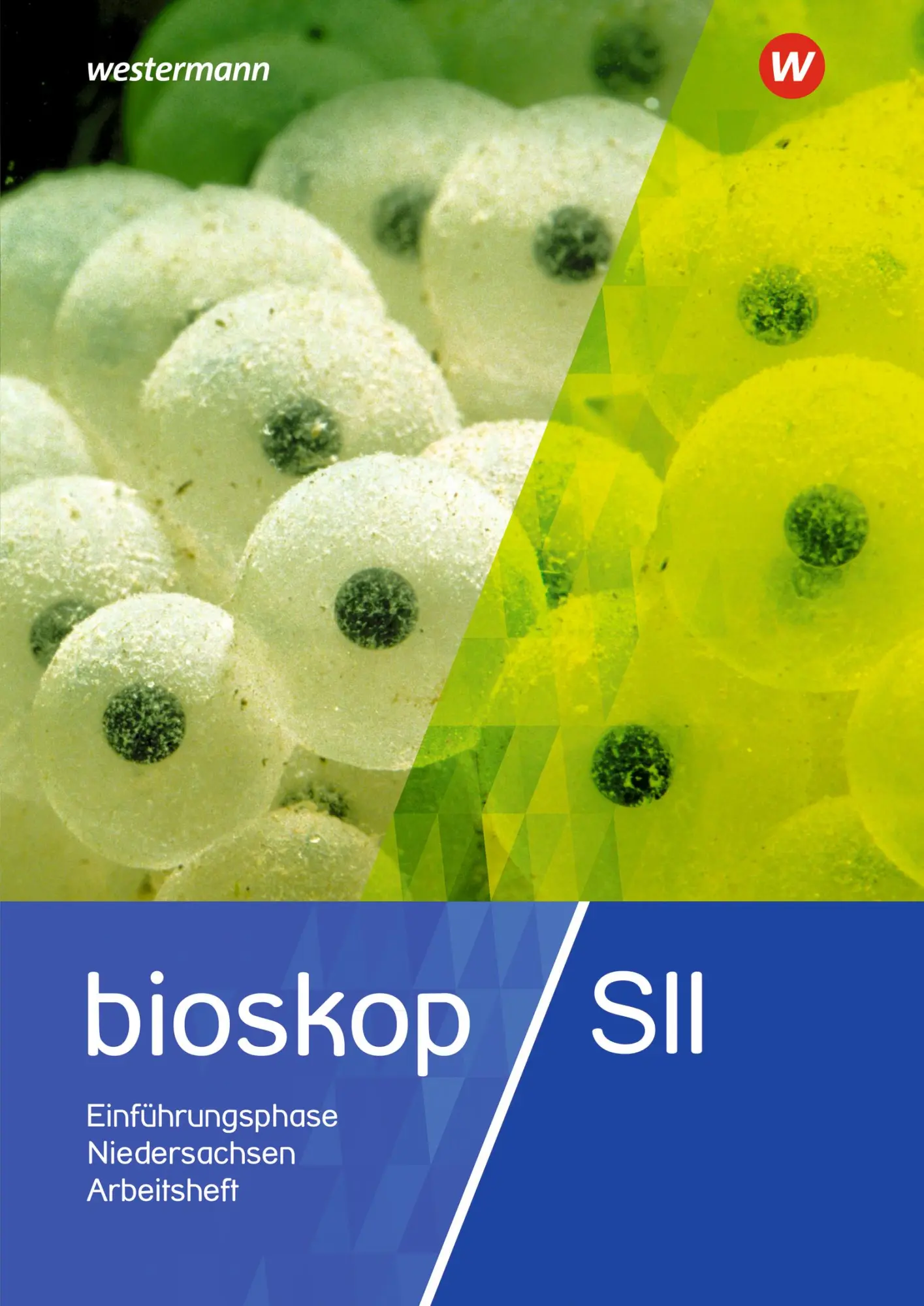 Cover: 9783141024982 | bioskop SII. 11. Arbeitsheft. Niedersachsen | Jörn Peters | Buch