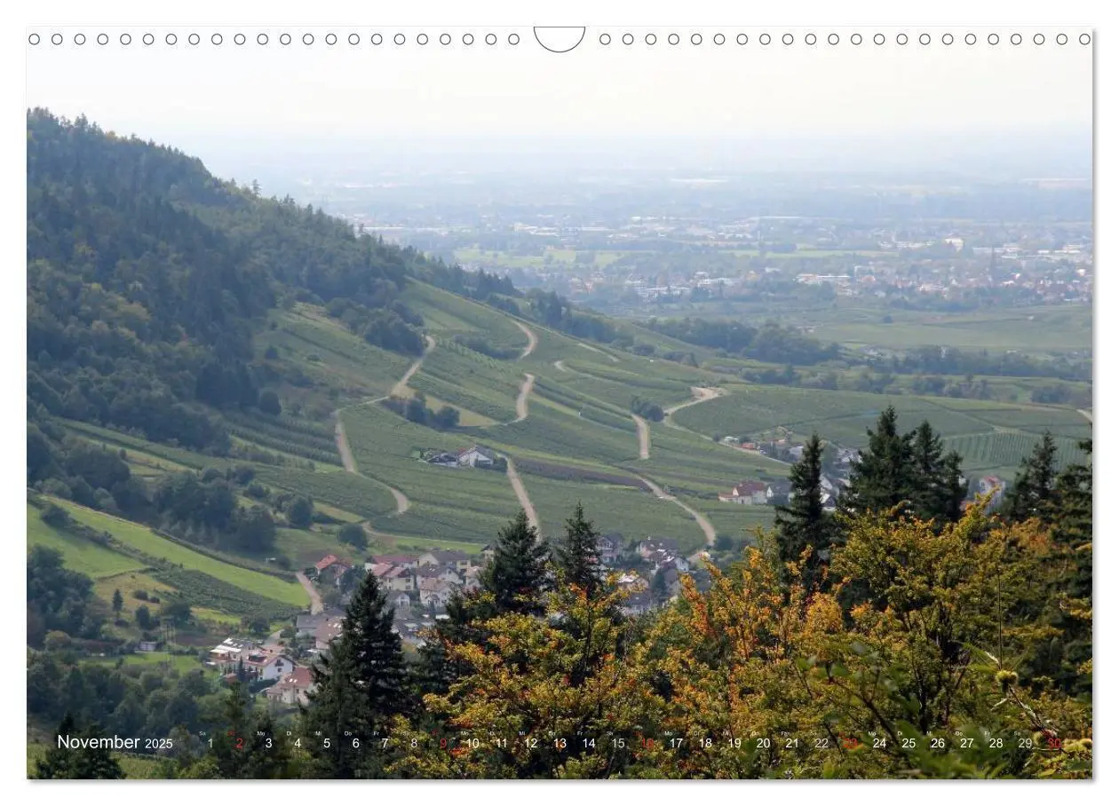 Bild: 9783435665082 | Im Baden-Badener Rebland 2025 (Wandkalender 2025 DIN A3 quer),...