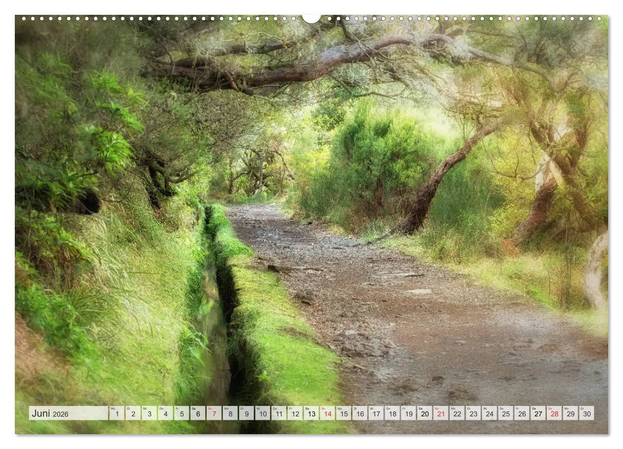 Bild: 9783457825082 | Madeira - eine Rundreise (Wandkalender 2026 DIN A2 quer), CALVENDO...