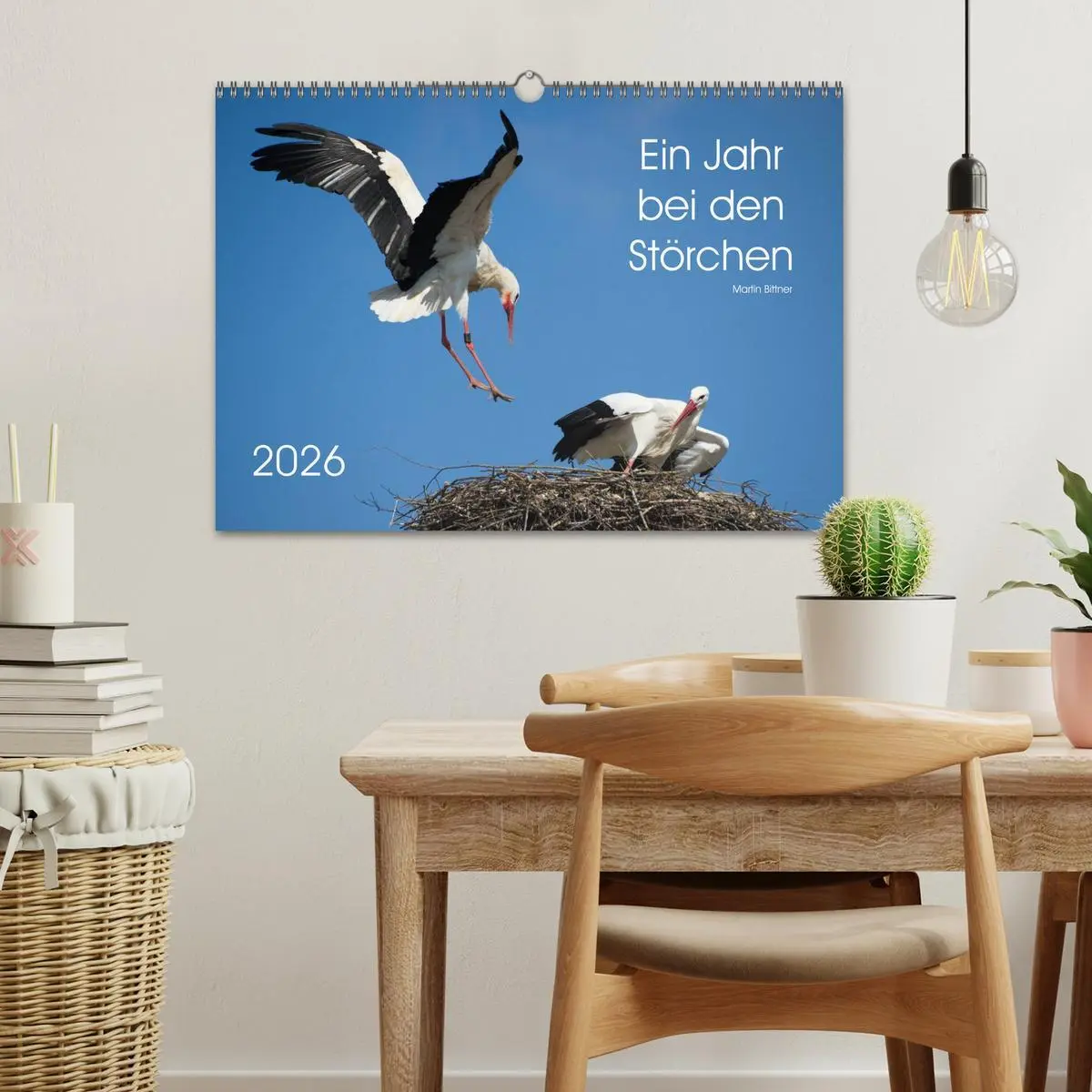 Bild: 9783457995082 | Ein Jahr bei den Störchen (Wandkalender 2026 DIN A3 quer), CALVENDO...