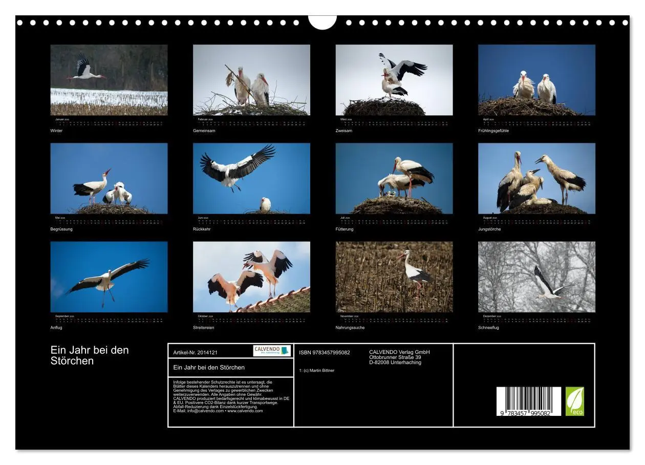 Bild: 9783457995082 | Ein Jahr bei den Störchen (Wandkalender 2026 DIN A3 quer), CALVENDO...