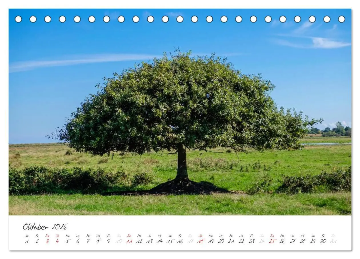 Bild: 9783516085082 | Geltinger Birk (Tischkalender 2026 DIN A5 quer), CALVENDO...