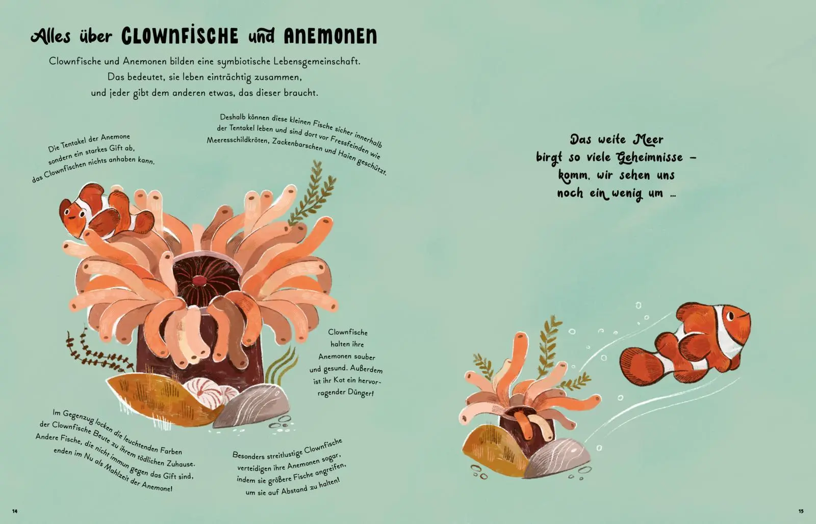 Bild: 9783551255082 | Kleine und große Wunder der Meere | Gabby Dawnay | Buch | 96 S. | 2025