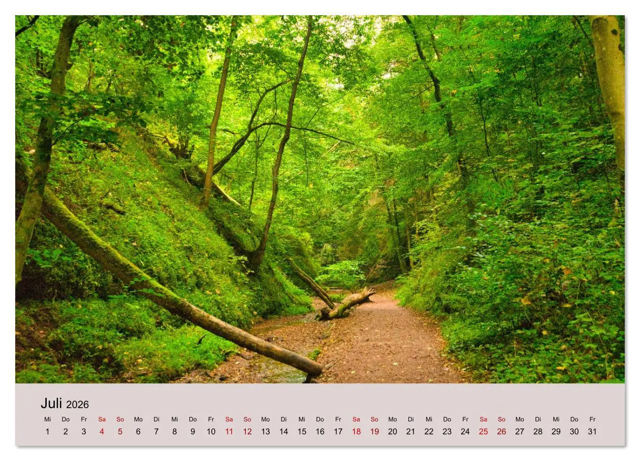 Bild: 9783457435182 | Naturerlebnis Thüringen (hochwertiger Premium Wandkalender 2026 DIN...