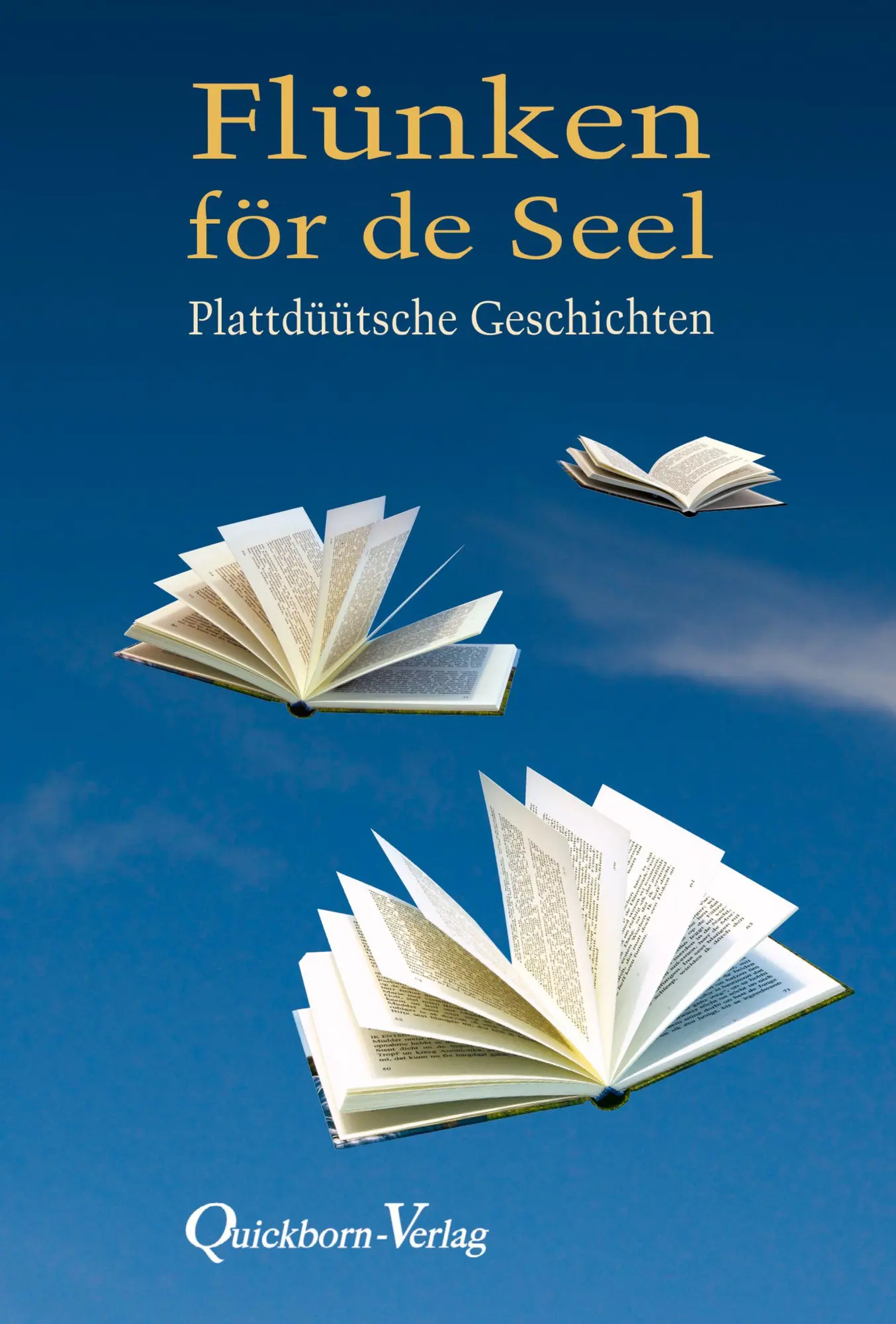 Cover: 9783876515182 | Flünken för de Seel | Plattdüütsche Geschichten | Gesche Scheller