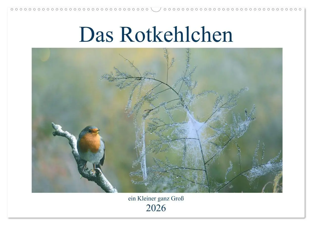Cover: 9783457735282 | Das Rotkehlchen, ein Kleiner ganz Groß (Wandkalender 2026 DIN A2...