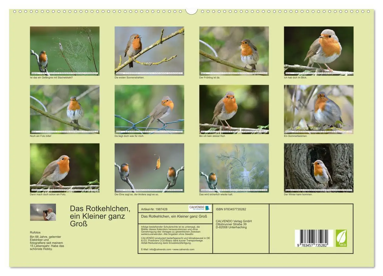 Bild: 9783457735282 | Das Rotkehlchen, ein Kleiner ganz Groß (Wandkalender 2026 DIN A2...