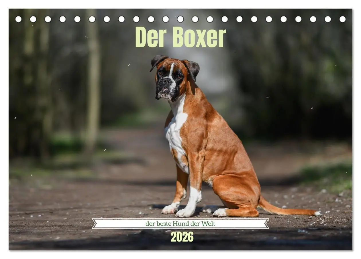 Cover: 9783457415382 | Der Boxer, der beste Hund der Welt (Tischkalender 2026 DIN A5...