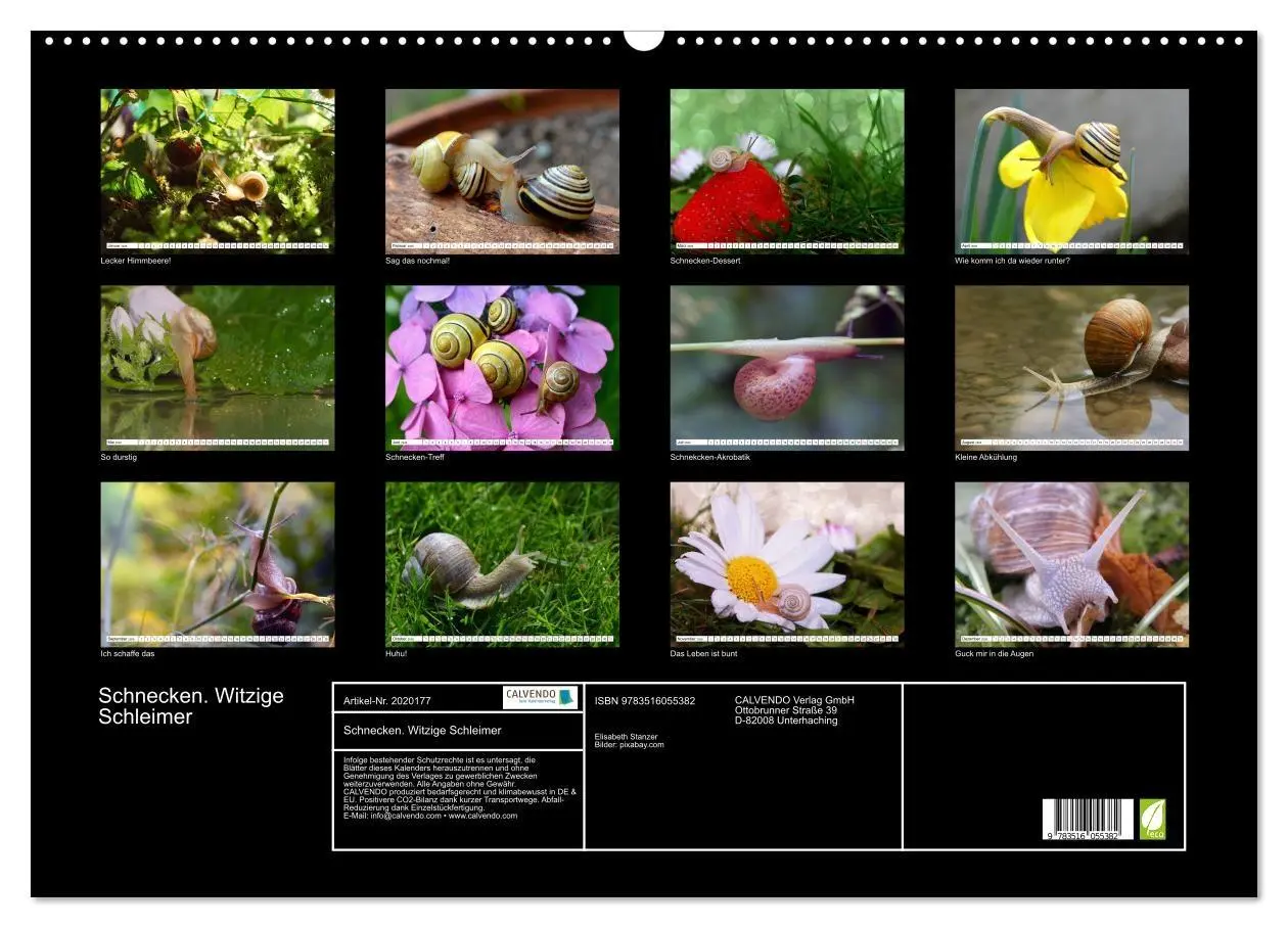 Bild: 9783516055382 | Schnecken. Witzige Schleimer (Wandkalender 2026 DIN A2 quer),...