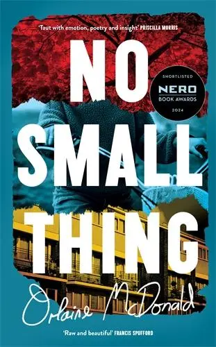 Cover: 9781800815582 | No Small Thing | Orlaine McDonald | Buch | Gebunden | Englisch | 2024