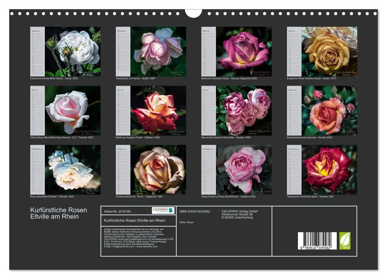 Bild: 9783516035582 | Kurfürstliche Rosen Eltville am Rhein (Wandkalender 2026 DIN A3...