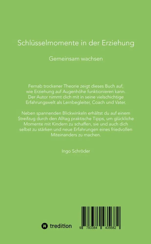 Bild: 9783384435682 | Schlüsselmomente in der Erziehung | Ingo Schröder | Taschenbuch