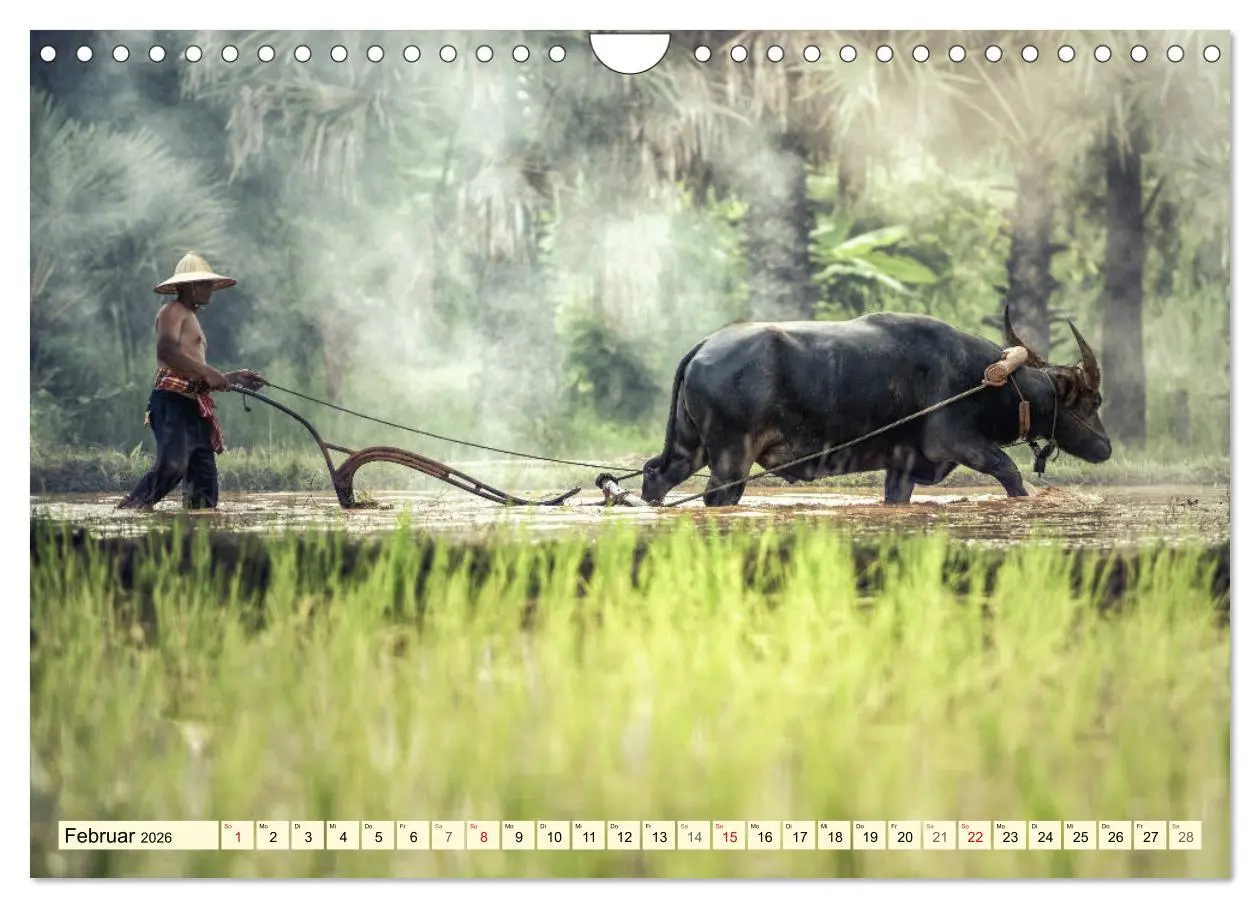 Bild: 9783457865682 | Magisches Asien. Menschen und Natur (Wandkalender 2026 DIN A4...