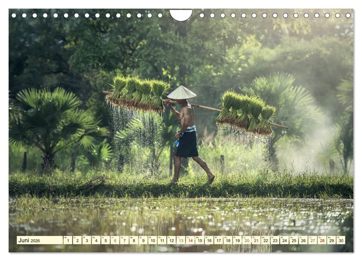 Bild: 9783457865682 | Magisches Asien. Menschen und Natur (Wandkalender 2026 DIN A4...