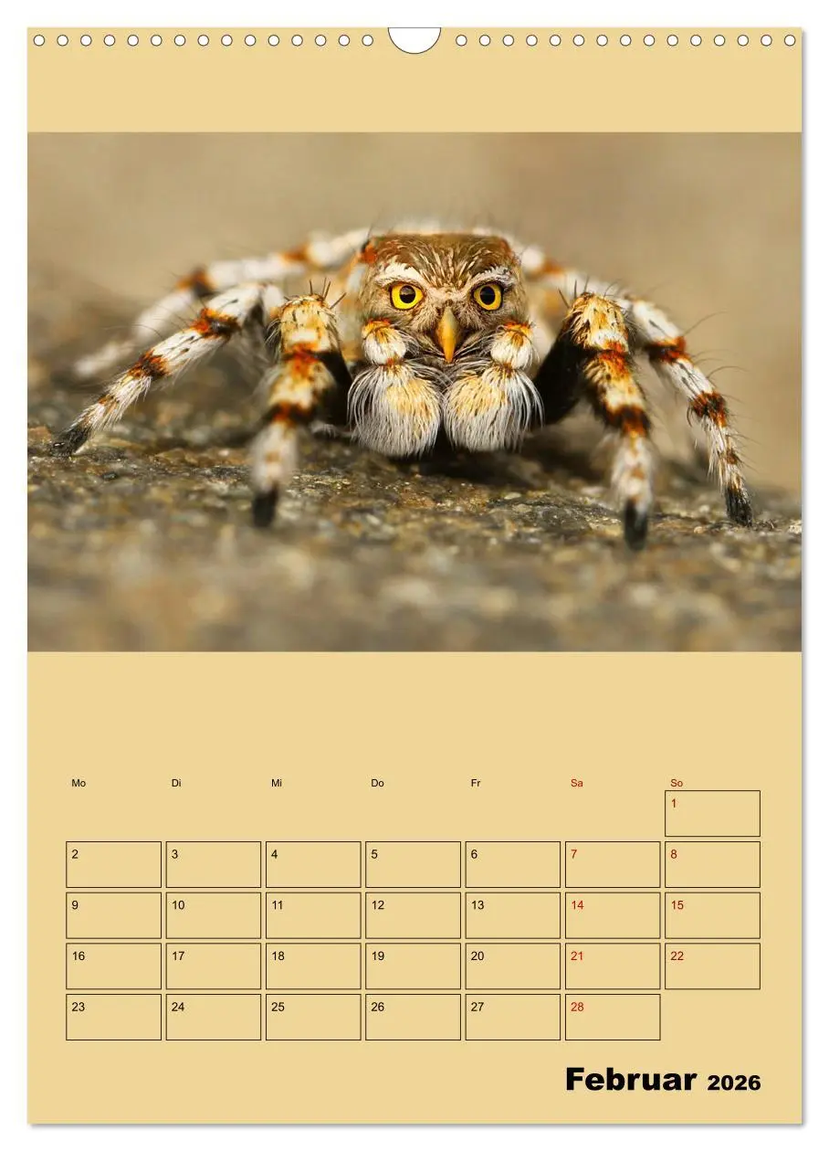 Bild: 9783516405682 | Seltsame Tiere - da stimmt doch was nicht... (Wandkalender 2026 DIN...