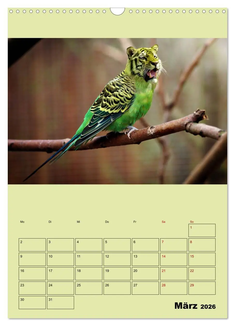 Bild: 9783516405682 | Seltsame Tiere - da stimmt doch was nicht... (Wandkalender 2026 DIN...