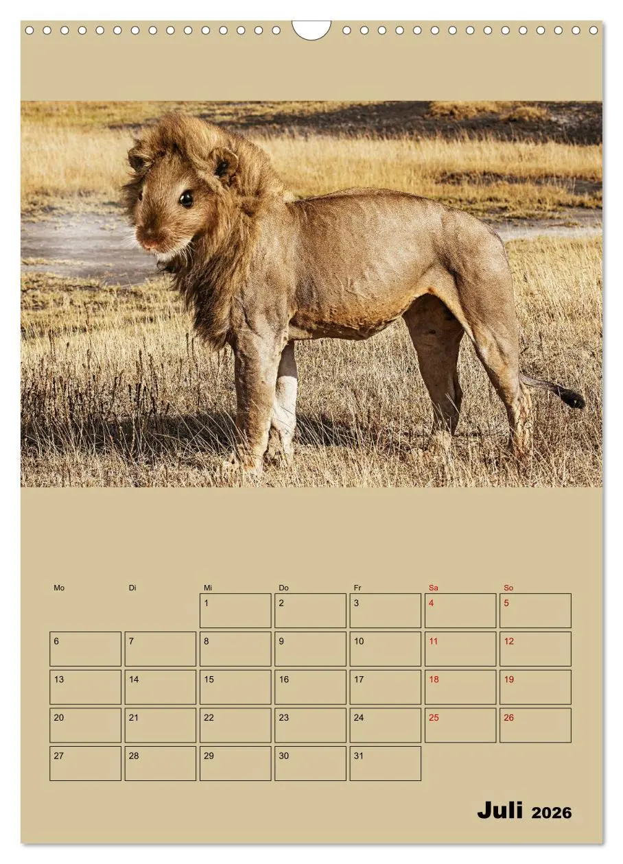 Bild: 9783516405682 | Seltsame Tiere - da stimmt doch was nicht... (Wandkalender 2026 DIN...