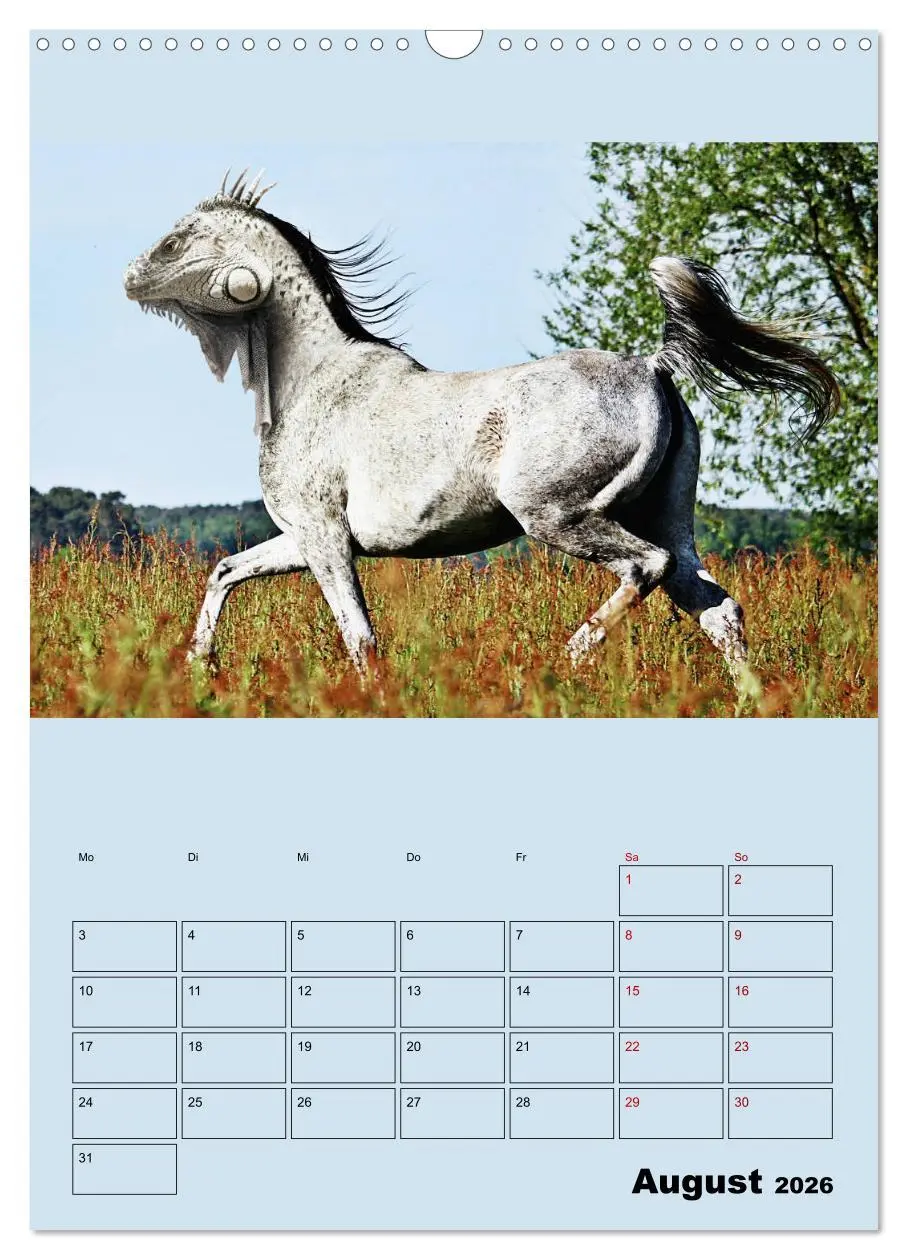 Bild: 9783516405682 | Seltsame Tiere - da stimmt doch was nicht... (Wandkalender 2026 DIN...