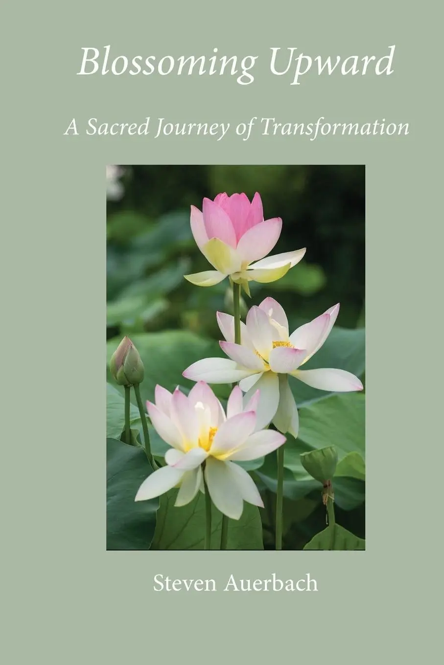 Cover: 9798989775682 | Blossoming Upward | Steven Auerbach | Taschenbuch | Englisch | 2025