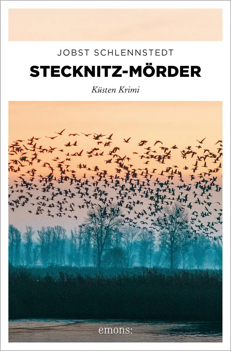 Cover: 9783740825782 | Stecknitz-Mörder | Küsten Krimi | Jobst Schlennstedt | Taschenbuch