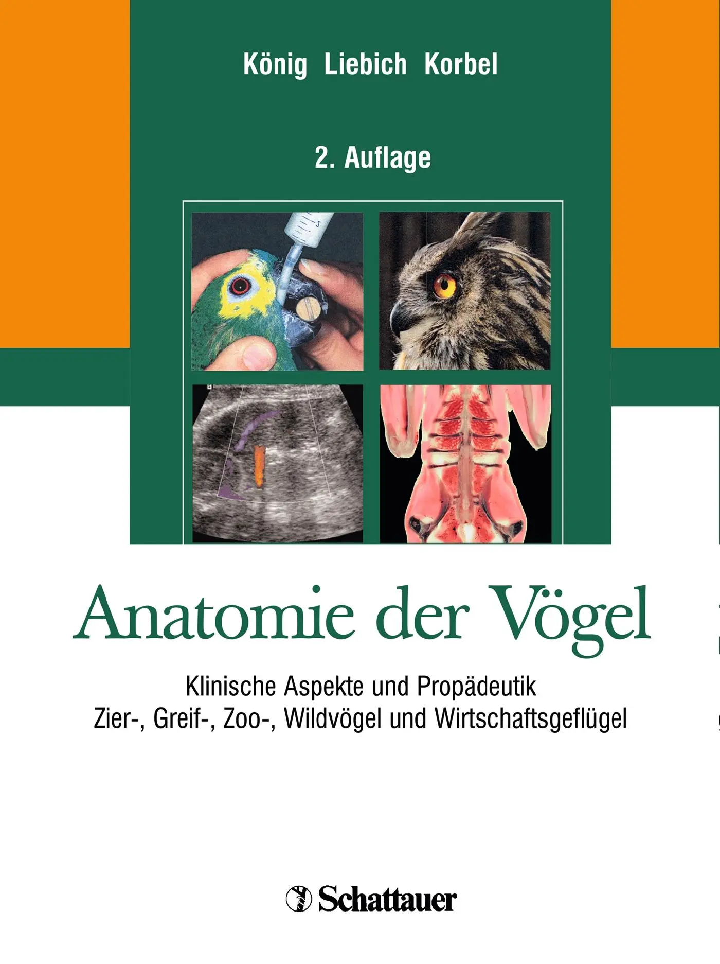 Cover: 9783794525782 | Anatomie der Vögel | Horst Erich König (u. a.) | Buch | XIV | Deutsch