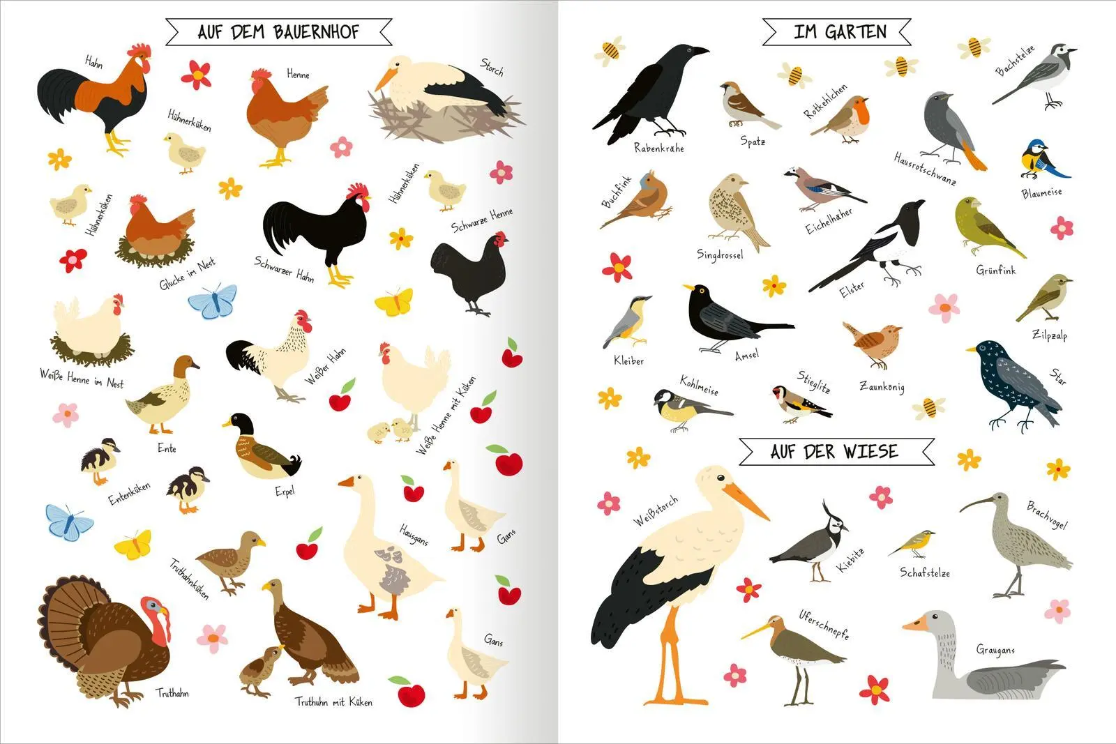 Bild: 9783845855882 | Naturforscher-Kids - Stickerheft Vögel | Über 300 Sticker | Markiewicz