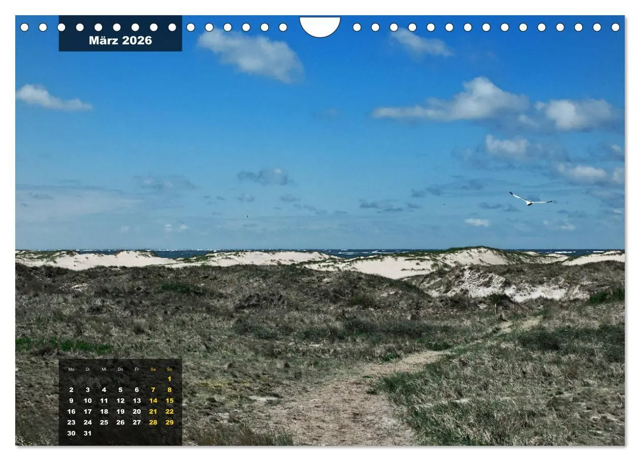 Bild: 9783457835982 | Texel Insel mit Charakter (Wandkalender 2026 DIN A4 quer), CALVENDO...