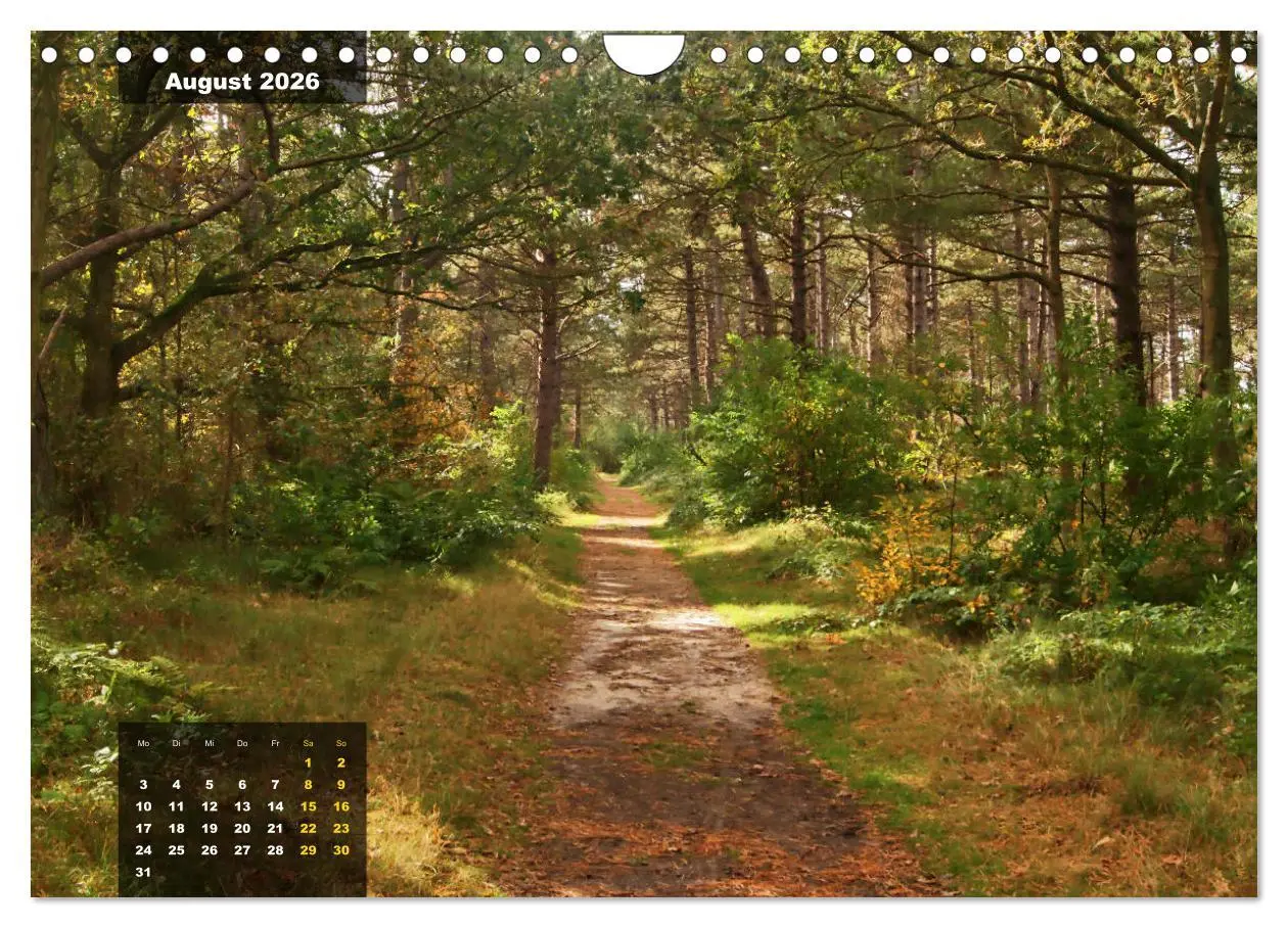 Bild: 9783457835982 | Texel Insel mit Charakter (Wandkalender 2026 DIN A4 quer), CALVENDO...