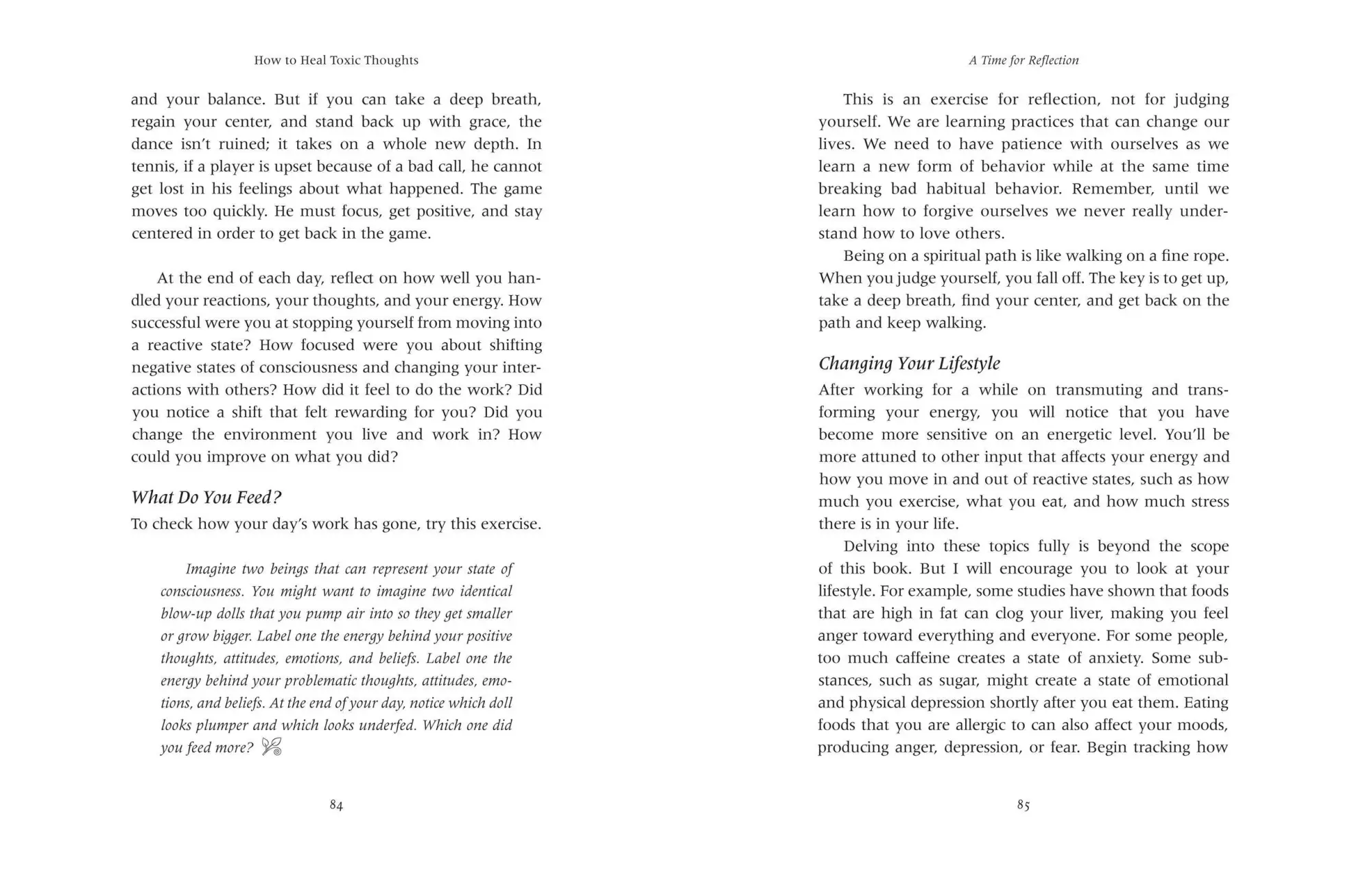 Bild: 9781402786082 | How to Heal Toxic Thoughts | Sandra Ingerman | Taschenbuch | Englisch
