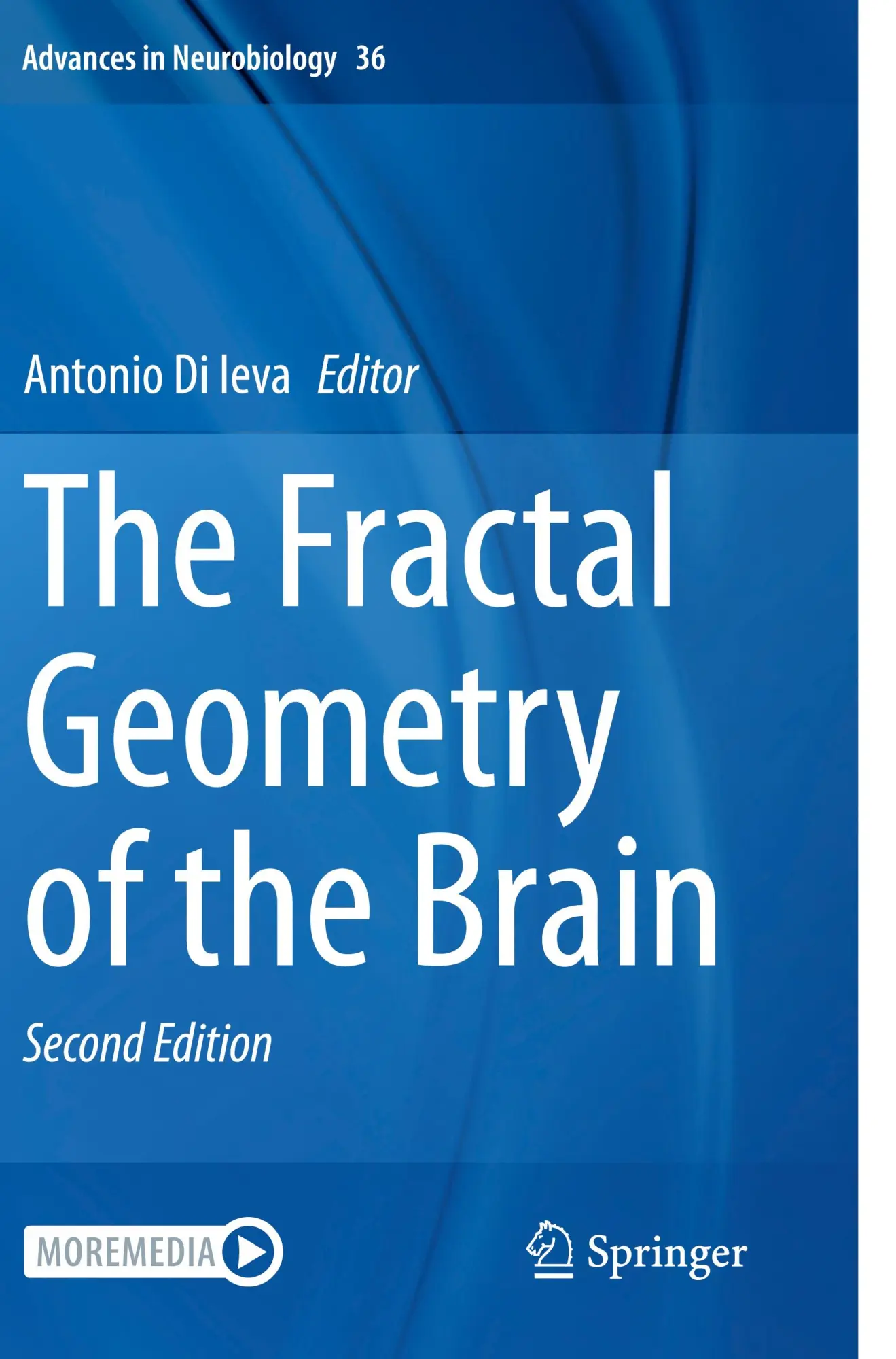 Cover: 9783031476082 | The Fractal Geometry of the Brain | Antonio Di Ieva | Taschenbuch
