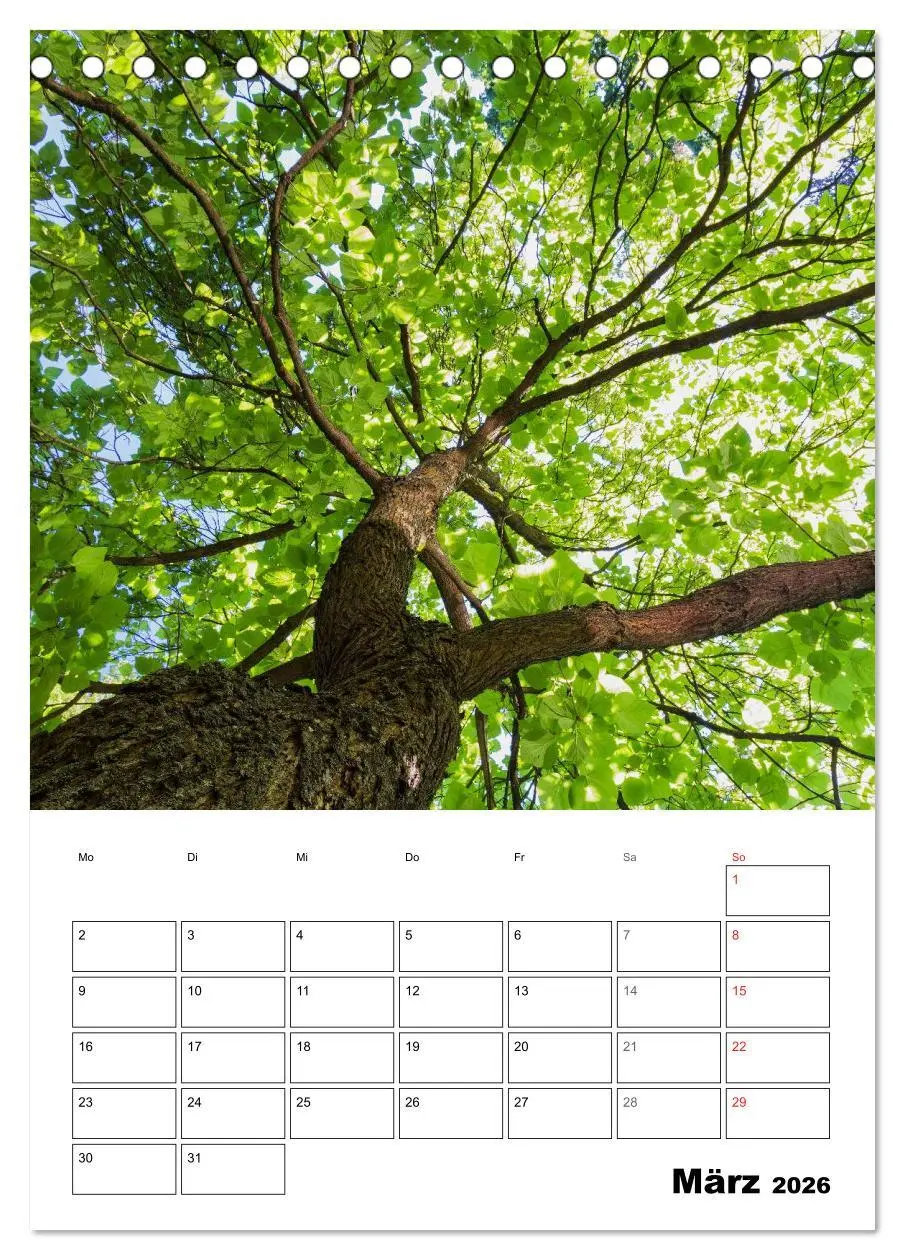 Bild: 9783516426182 | Farben der Natur (Tischkalender 2026 DIN A5 hoch), CALVENDO...