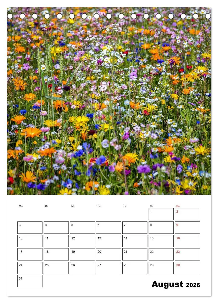 Bild: 9783516426182 | Farben der Natur (Tischkalender 2026 DIN A5 hoch), CALVENDO...