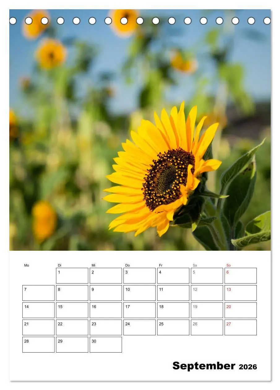 Bild: 9783516426182 | Farben der Natur (Tischkalender 2026 DIN A5 hoch), CALVENDO...