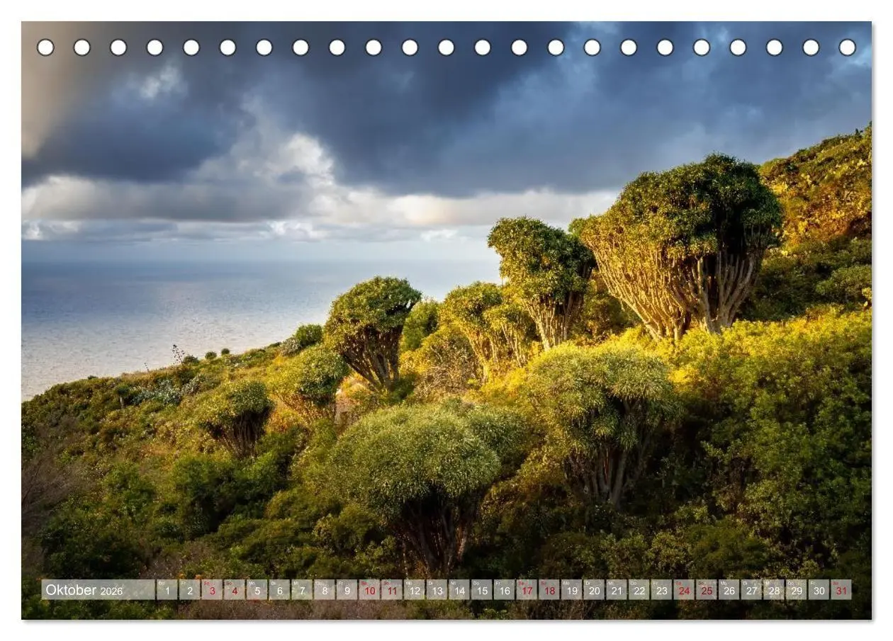 Bild: 9783516736182 | Kanarisch Wild - La Palma (Tischkalender 2026 DIN A5 quer),...