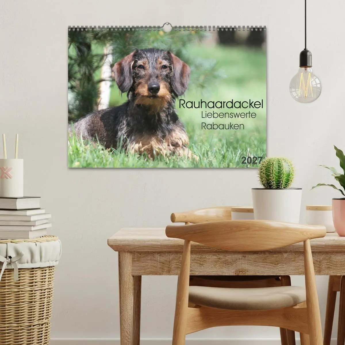 Bild: 9783594196182 | Liebenswerte Rabauken - Rauhaardackel (Wandkalender 2027 DIN A3...