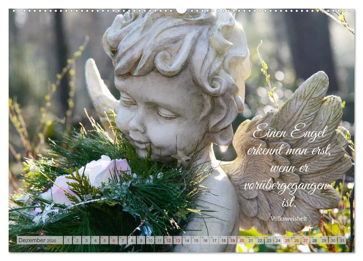 Bild: 9783457636282 | Geborgen unter Engelsflügeln (Wandkalender 2026 DIN A2 quer),...