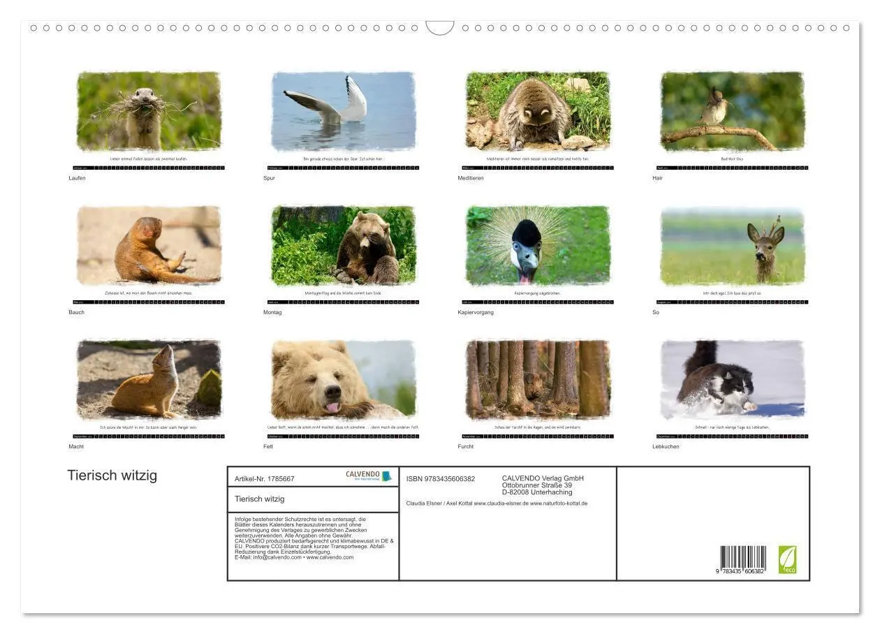 Bild: 9783435606382 | Tierisch witzig (Wandkalender 2025 DIN A2 quer), CALVENDO...