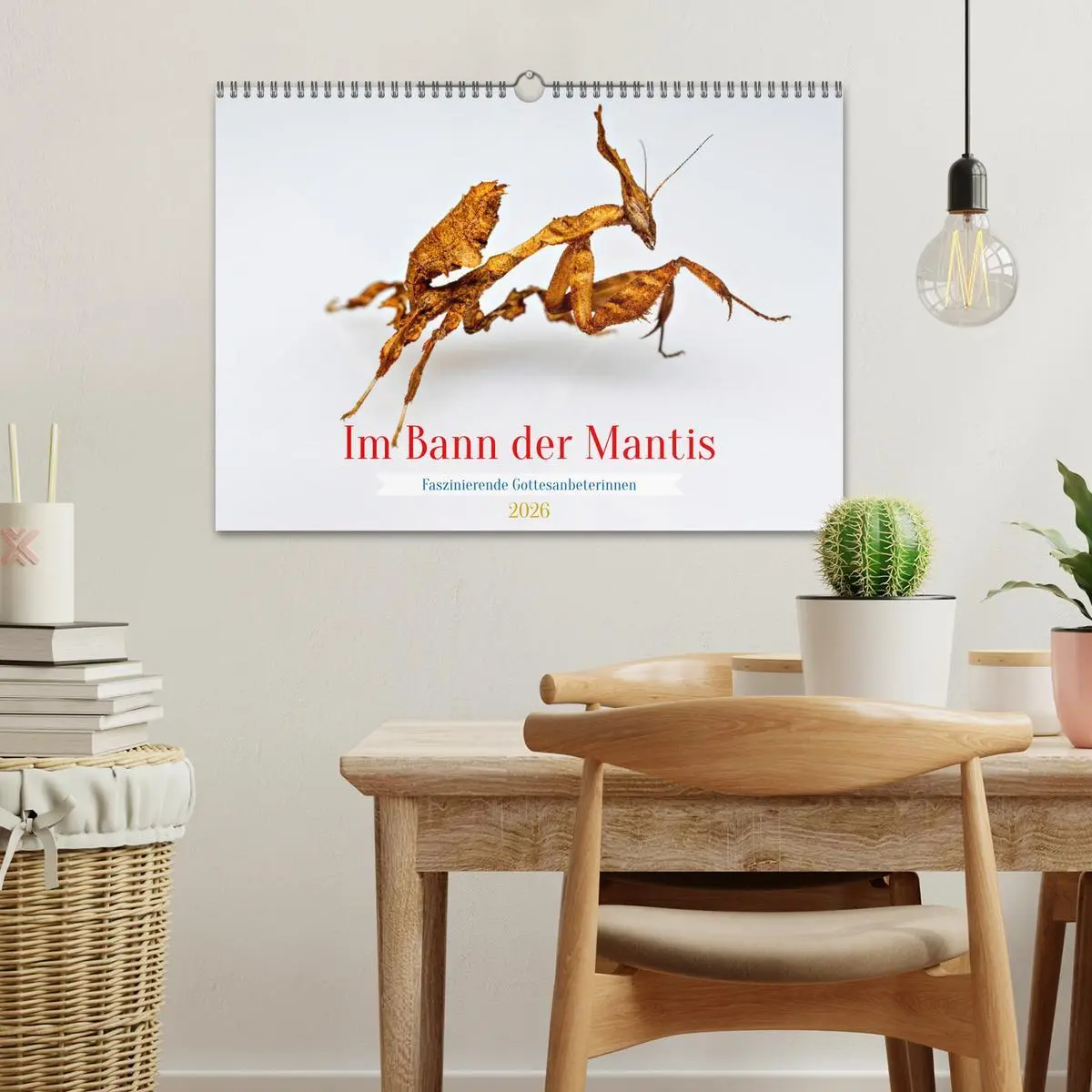 Bild: 9783457246382 | Im Bann der Mantis (Wandkalender 2026 DIN A3 quer), CALVENDO...